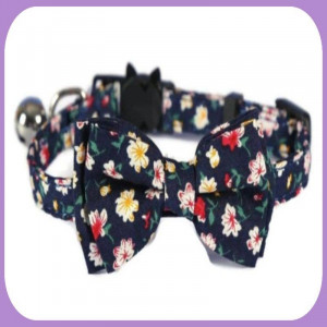 Collar-237